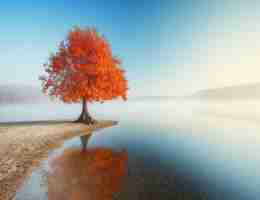 c语‍言‍快‍捷‍键‌怎‌么﻿运‍行​